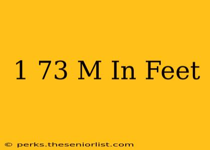 1 73 M In Feet