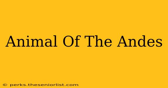 Animal Of The Andes
