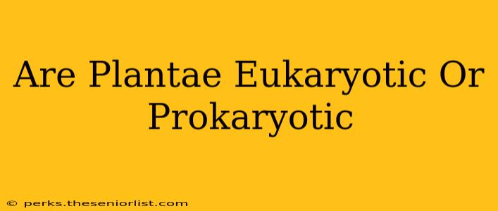 Are Plantae Eukaryotic Or Prokaryotic