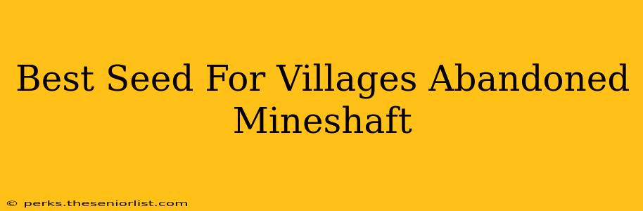 Best Seed For Villages Abandoned Mineshaft