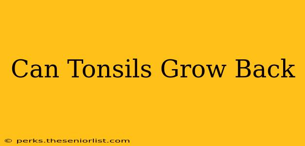 Can Tonsils Grow Back