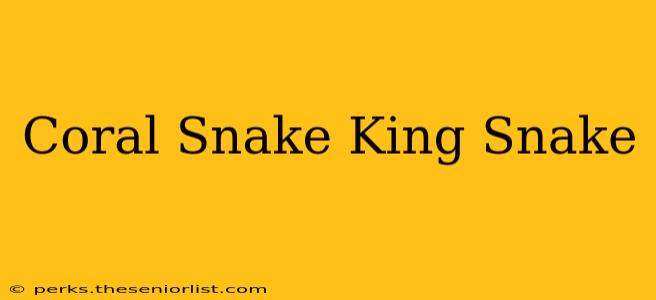 Coral Snake King Snake