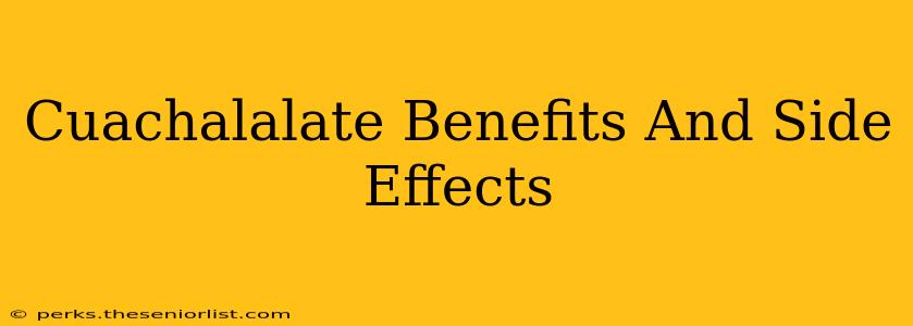 Cuachalalate Benefits And Side Effects