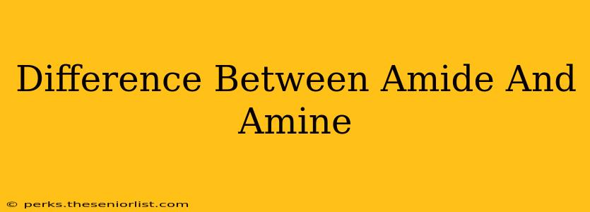 Difference Between Amide And Amine