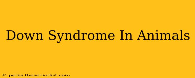 Down Syndrome In Animals