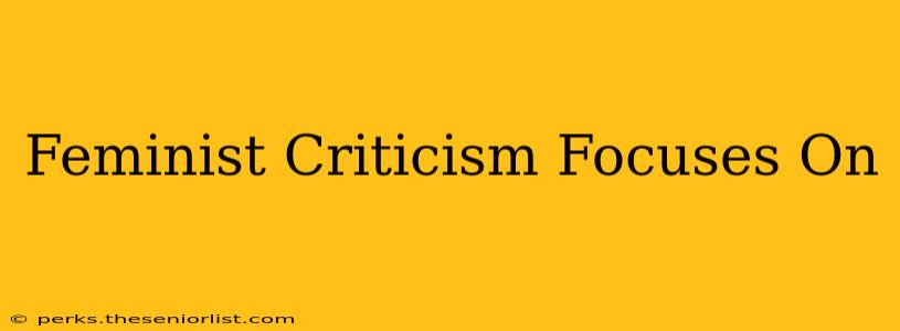 Feminist Criticism Focuses On