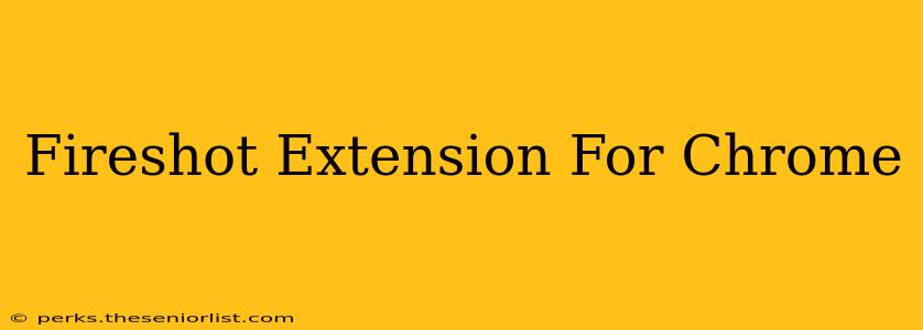 Fireshot Extension For Chrome
