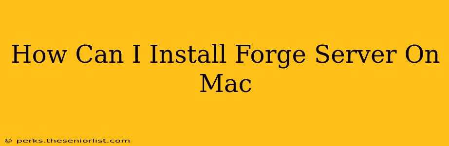 How Can I Install Forge Server On Mac
