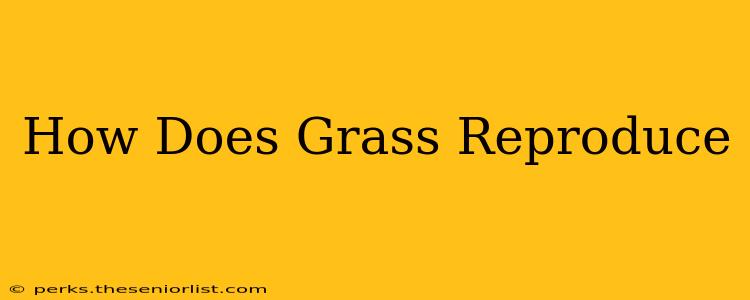 How Does Grass Reproduce