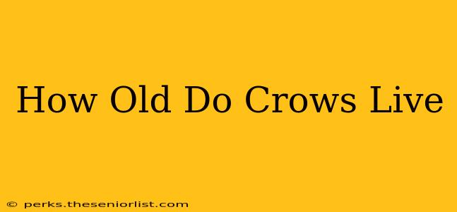 How Old Do Crows Live