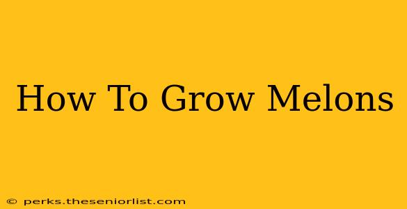How To Grow Melons
