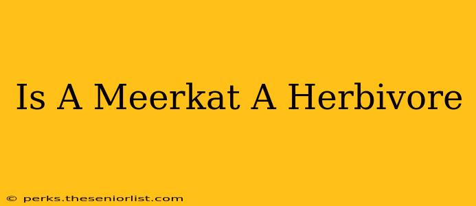 Is A Meerkat A Herbivore
