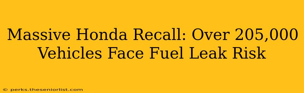 Massive Honda Recall: Over 205,000 Vehicles Face Fuel Leak Risk