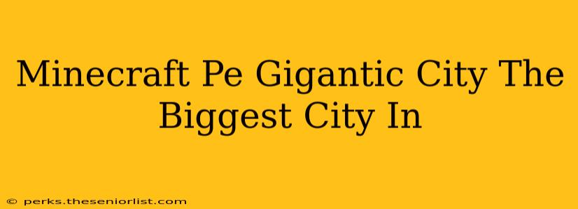 Minecraft Pe Gigantic City The Biggest City In