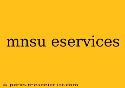 mnsu eservices