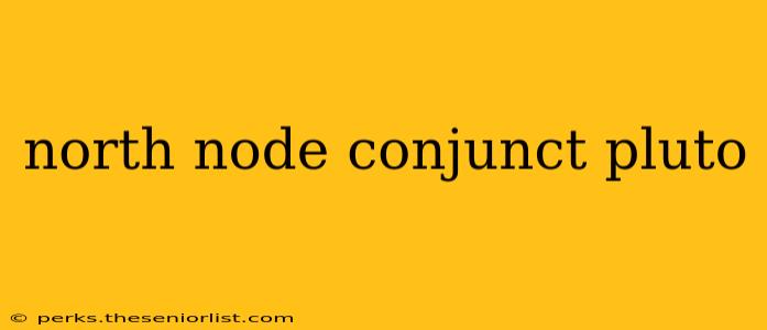 north node conjunct pluto