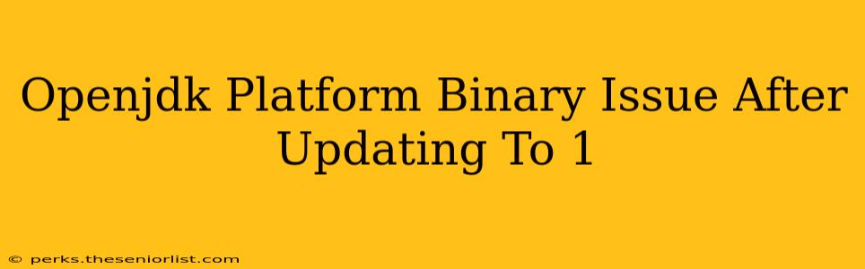 Openjdk Platform Binary Issue After Updating To 1