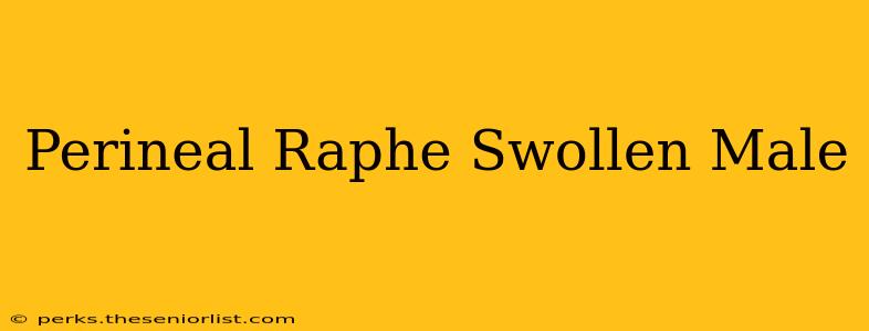 Perineal Raphe Swollen Male