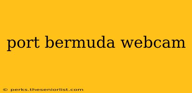 port bermuda webcam