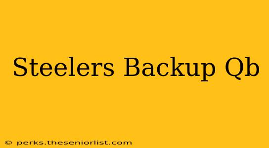 Steelers Backup Qb