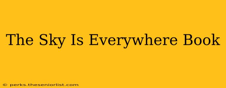 The Sky Is Everywhere Book