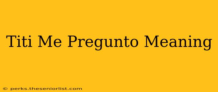 Titi Me Pregunto Meaning