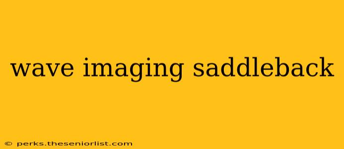 wave imaging saddleback