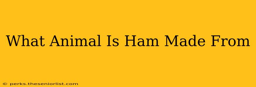 What Animal Is Ham Made From