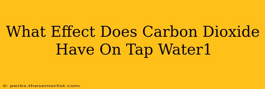 What Effect Does Carbon Dioxide Have On Tap Water1