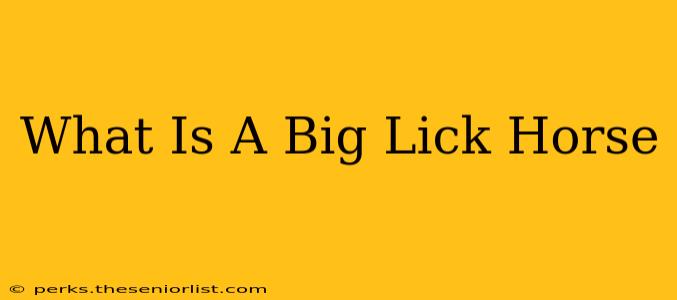 What Is A Big Lick Horse