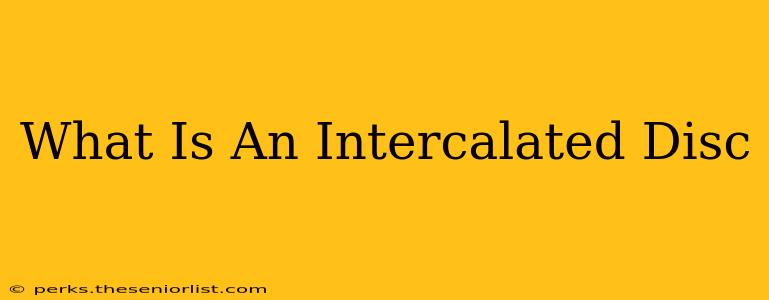 What Is An Intercalated Disc