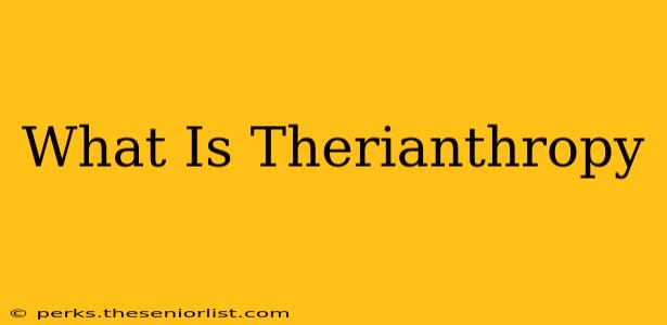 What Is Therianthropy