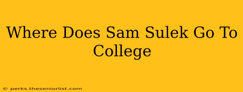 Where Does Sam Sulek Go To College