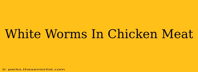White Worms In Chicken Meat