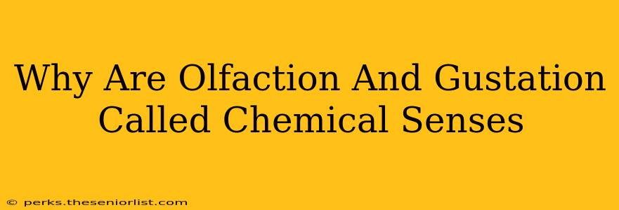Why Are Olfaction And Gustation Called Chemical Senses